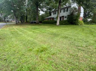 Karima A.'s grass cutting service result