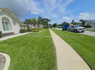 Terry W.'s lawn care services service result