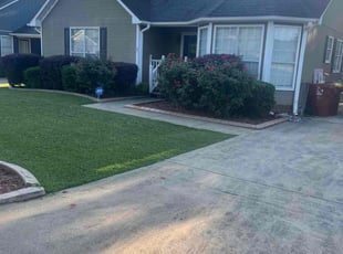 Stacy B.'s Bush Trimming service result