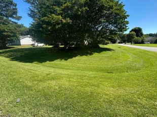 Dee G.'s turf care service result