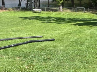 Saurav D.'s lawn care service result