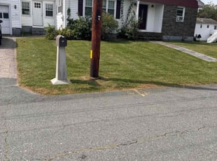 Mr B.'s turf care service result