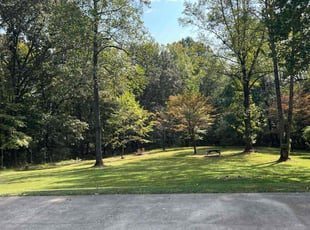 Lorie R.'s grass cutting service result