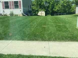 Elizabeth S.'s lawn service service result