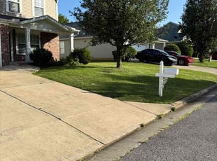 Angelique R.'s turf care service result