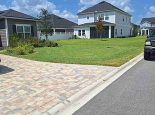 Sam S.'s grass maintenance service result