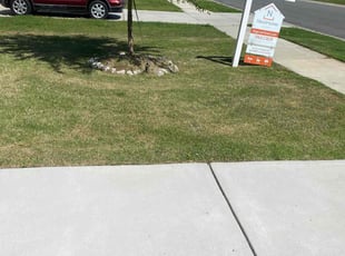 Jim K.'s turf care service result