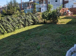 David L.'s turf care service result