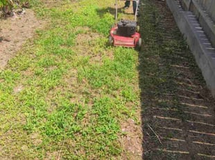 Syed A.'s Bush Trimming service result