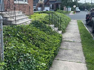 Karen H.'s Bush Trimming service result
