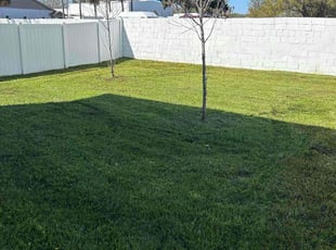 AJ J.'s lawn service service result