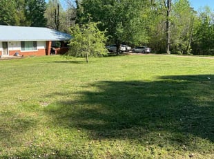 Dan M.'s lawn care service result