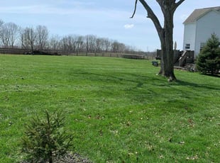 Fos J.'s lawn care services service result