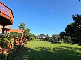 Craig B.'s lawn maintenance service result