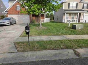 Jerome W.'s turf care service result