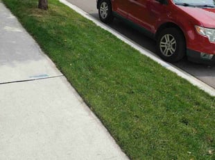 Edward M.'s lawn maintenance service result