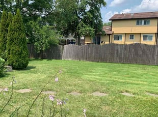 Hanah H.'s grass cutting service result
