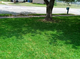 Stephanie T.'s lawn service service result