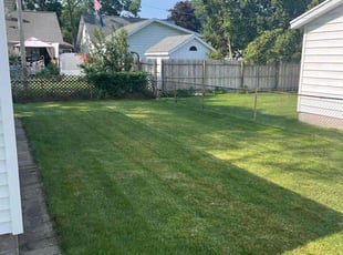 Yarisalis R.'s turf maintenance service result
