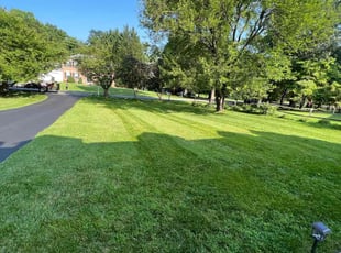 Julie F.'s lawn service service result