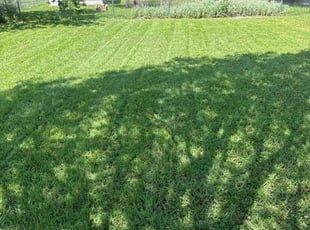 Jonathan F.'s lawn care services service result