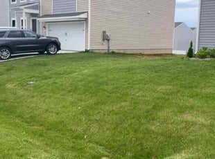 Marian C.'s grass maintenance service result