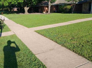 Dominique D.'s grass cutting service result
