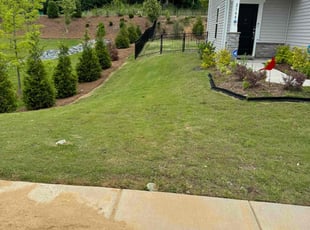Elizabeth W.'s turf care service result
