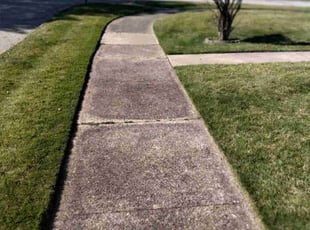 Kathy C.'s lawn care service result