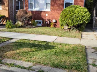 Tameka R.'s lawn care services service result