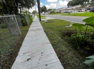 Amy Y.'s grass maintenance service result