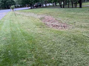 Chris C.'s turf maintenance service result