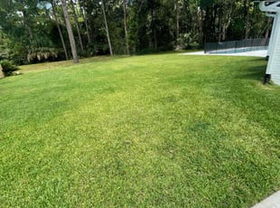 Mark F.'s lawn care service result