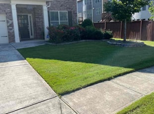 Alieyh C.'s lawn maintenance service result