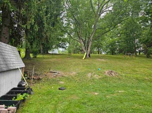 William P.'s lawn service service result