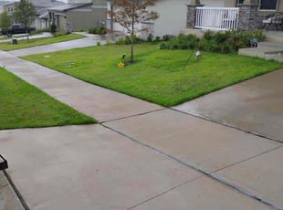Shawn J.'s lawn maintenance service result