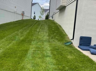 T.J. E.'s turf maintenance service result