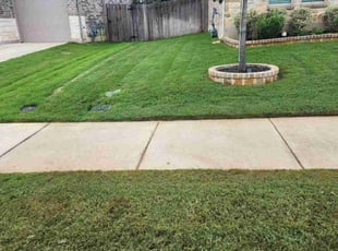 Rick R.'s lawn care services service result