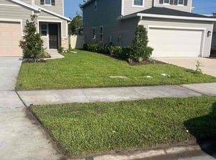 Erin D.'s turf maintenance service result
