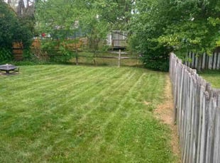 Laura S.'s grass cutting service result