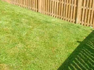 Karla L.'s lawn service service result
