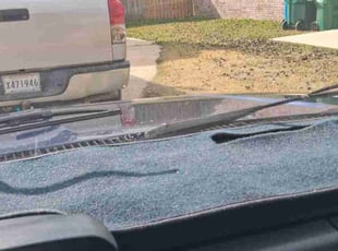 Dellonte S.'s lawn service service result