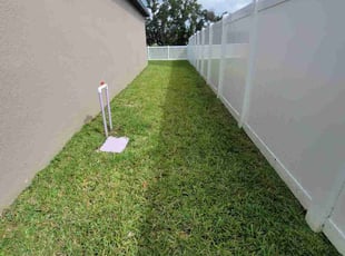 Tiffany M.'s grass cutting service result