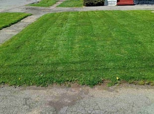 Quintara J.'s lawn care services service result