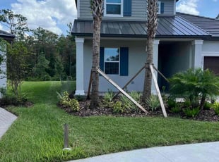 Alicia L.'s turf maintenance service result