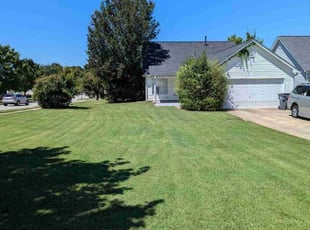 Tiara R.'s turf care service result