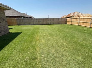 Shirlena H.'s lawn maintenance service result