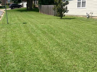 Andrew W.'s grass cutting service result