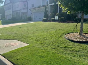 Kevin C.'s grass maintenance service result