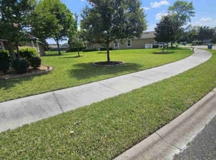Travis H.'s lawn care services service result